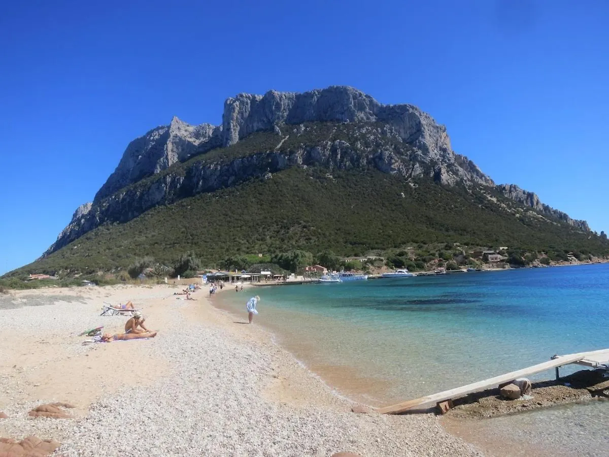 Nido Del Cuculo - Stilvolle Villa Mit Privatem Pool Nahe Der Costa Smeralda Канниджионе Италия